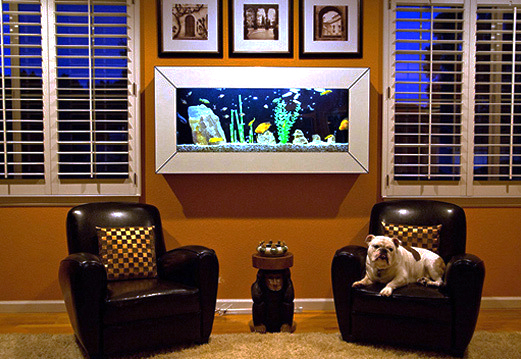 Silver framed aquarium mounted on wall in residential setting