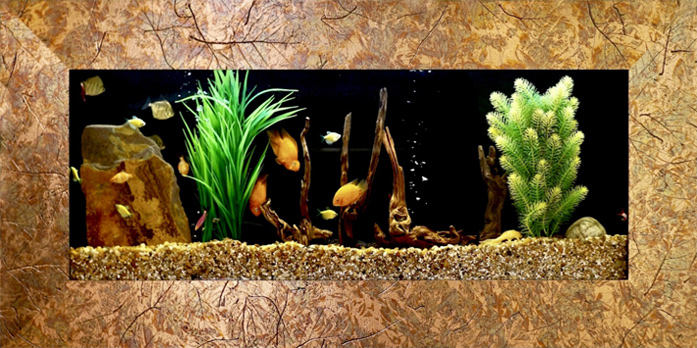 Close up on aquarium with gold frame and black background